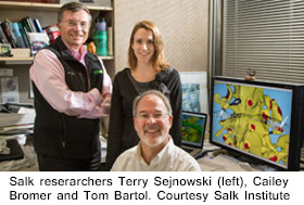 Salk Researchers