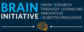 BRAIN Initiative